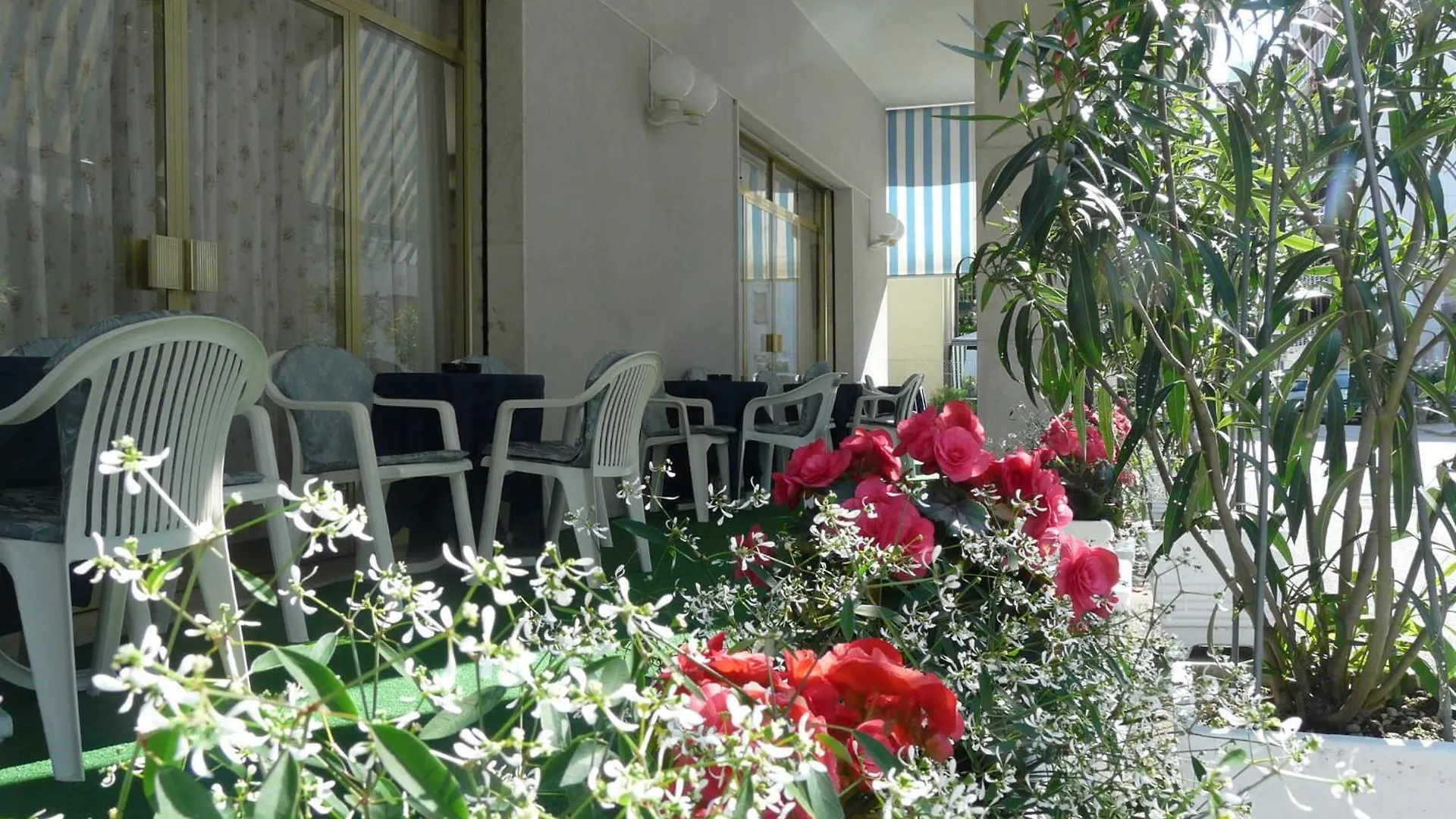 Hotel Altea Τζεσόλο Λίντο